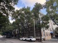 碧云里中环金街—金环青年汇